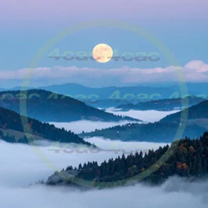 4cP010646AI生成素材