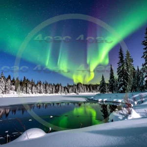 4cP010670AI生成素材