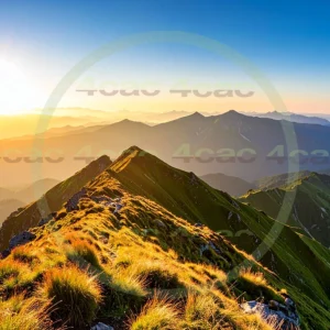 4cP010671AI生成素材