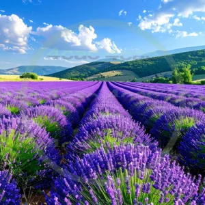 4cP010692AI生成素材