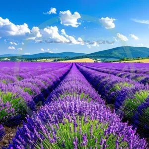 4cP010693AI生成素材