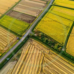 4cP010696AI生成素材