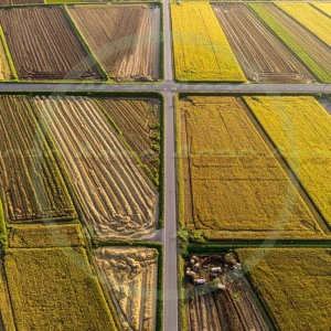 4cP010697AI生成素材