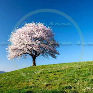 4cP010712AI生成素材