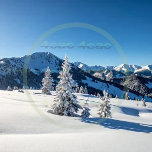 4cP010741AI生成素材