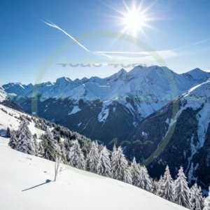 4cP010742AI生成素材