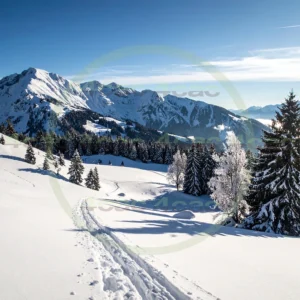 4cP010743AI生成素材