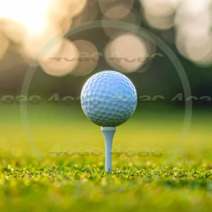 4cP011080AI生成素材