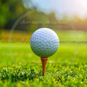 4cP011084AI生成素材