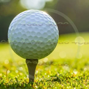 4cP011086AI生成素材