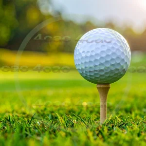 4cP011088AI生成素材