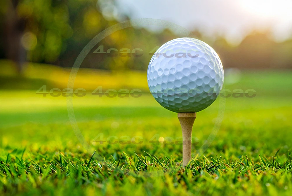 4cP011088AI生成素材