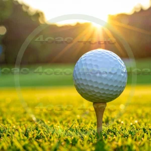 4cP011090AI生成素材