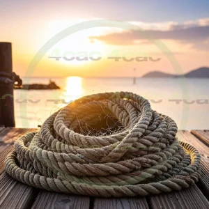 4cP011558AI生成素材