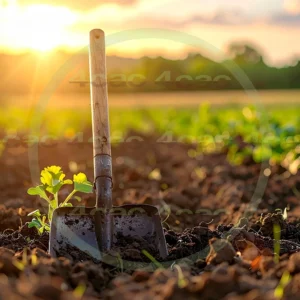 4cP011617AI生成素材