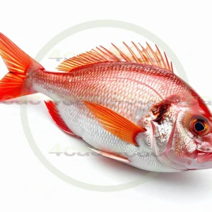 4cP011745AI生成素材