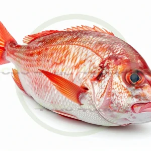 4cP011747AI生成素材