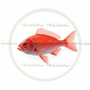 4cP011748AI生成素材