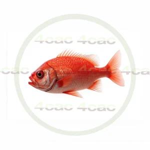 4cP011749AI生成素材