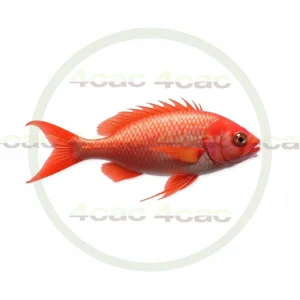 4cP011751AI生成素材