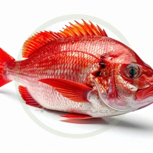 4cP011752AI生成素材