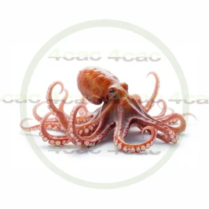 4cP011753AI生成素材