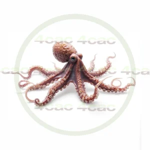 4cP011759AI生成素材