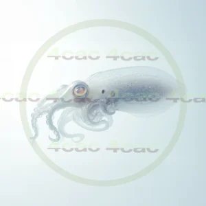 4cP011765AI生成素材