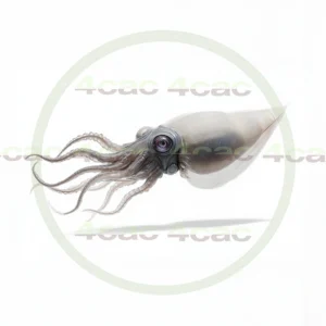 4cP011767AI生成素材