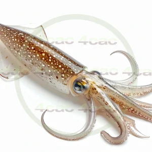 4cP011768AI生成素材