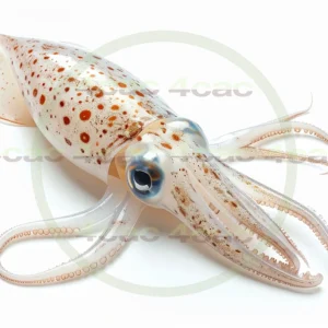 4cP011771AI生成素材