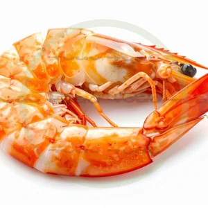 4cP011773AI生成素材