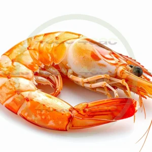 4cP011774AI生成素材