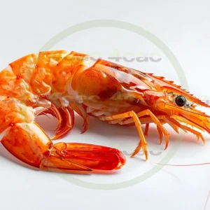 4cP011775AI生成素材