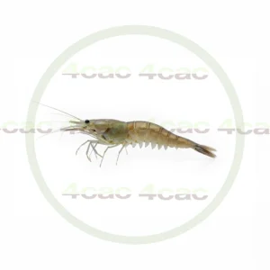 4cP011776AI生成素材