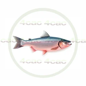 4cP011787AI生成素材