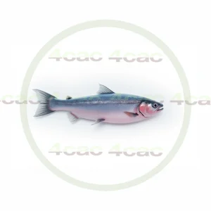 4cP011790AI生成素材