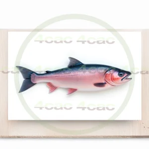 4cP011791AI生成素材