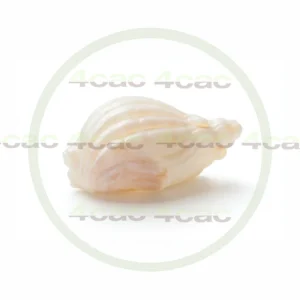 4cP011798AI生成素材