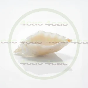 4cP011800AI生成素材