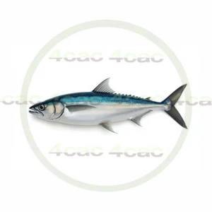 4cP011801AI生成素材