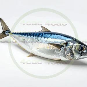 4cP011806AI生成素材