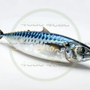 4cP011807AI生成素材