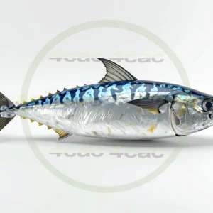 4cP011809AI生成素材