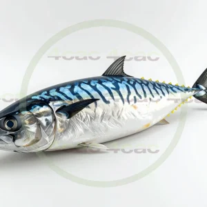 4cP011810AI生成素材