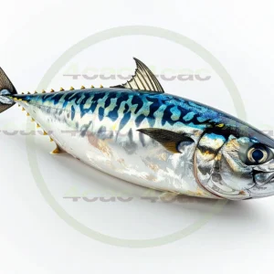 4cP011811AI生成素材