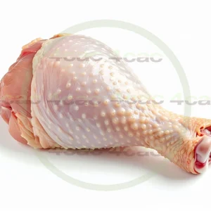 4cP011831AI生成素材