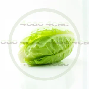 4cP011847AI生成素材