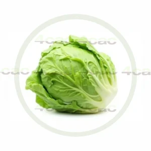 4cP011848AI生成素材