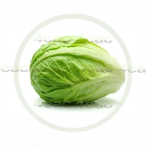 4cP011849AI生成素材